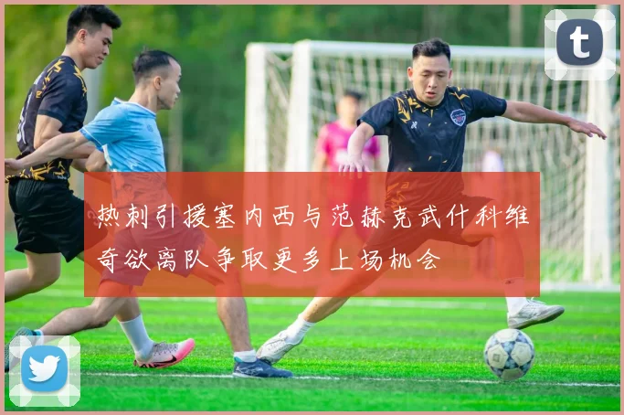热刺引援塞内西与范赫克武什科维奇欲离队争取更多上场机会